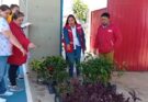 Alcaldía entrega plantines ornamentales al kínder Teófilo Yuri por su 64 aniversario